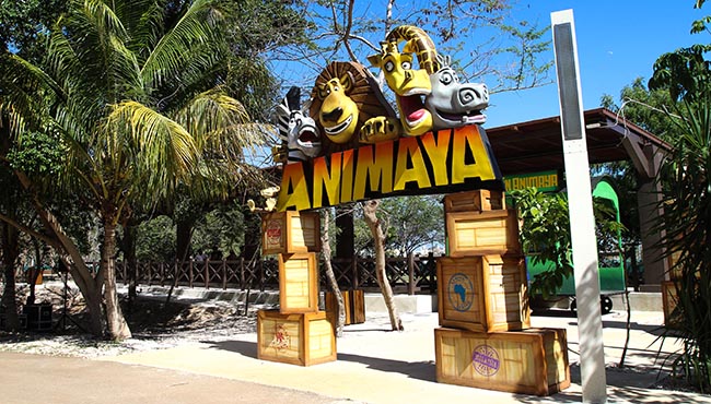 Animaya con nuevos espacios modernos y funcionales