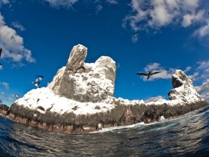Archipiélago de Baja California ya es Patrimonio Mundial