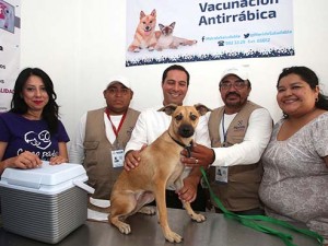 Módulo Veterinario Municipal para Perros y Gatos, único en Yucatán y en el Sureste del país