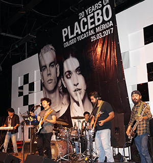 Placebolive02