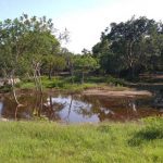 «Paseo en agua. Descubriendo cenotes» viaja por Yucatán