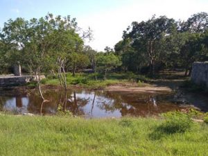 Dzibilchaltún seguirá cerrado una semana más, informa Cultur